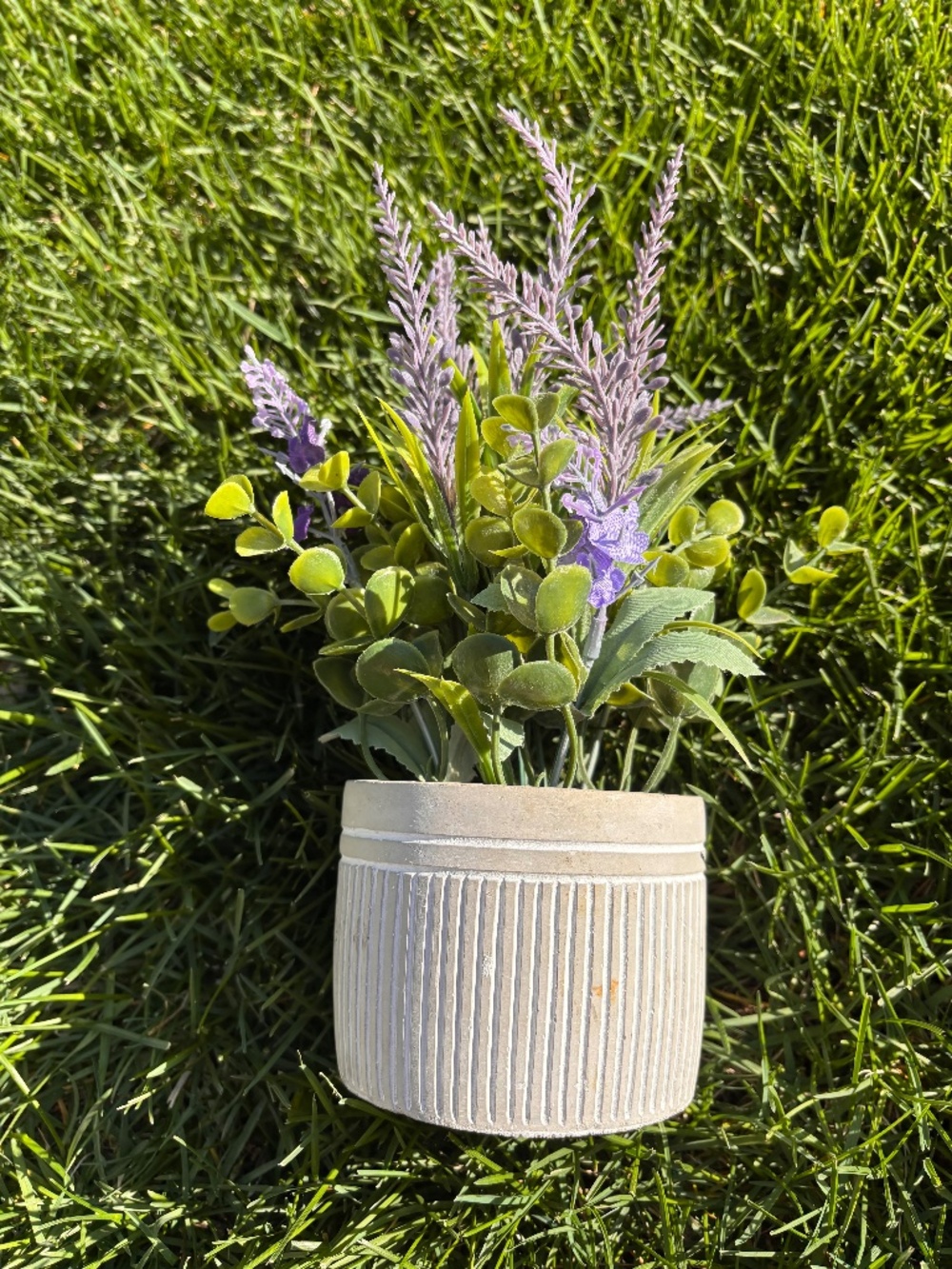 Fake Lavender Plant